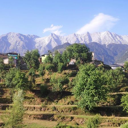 Mcleodganj Diaries Bed & Breakfast Dharamshala Exterior photo